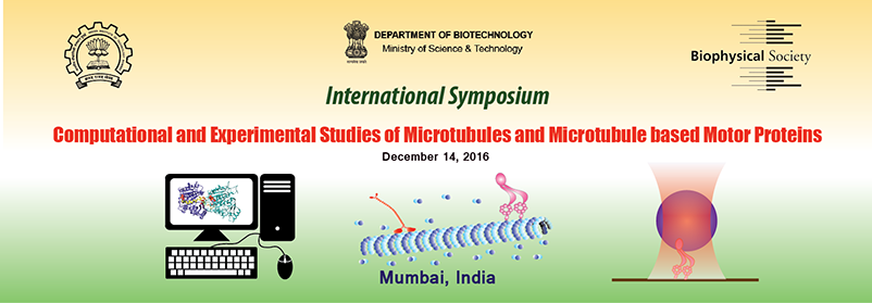  International Symposium â€œComputational and Experimental Studies of Microtubule and Microtubule based Motor Proteinsâ€