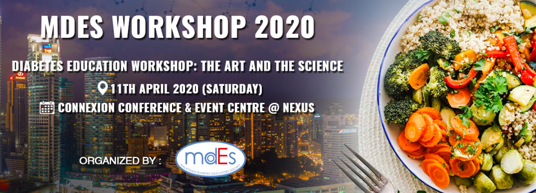 MDES Workshop 2020