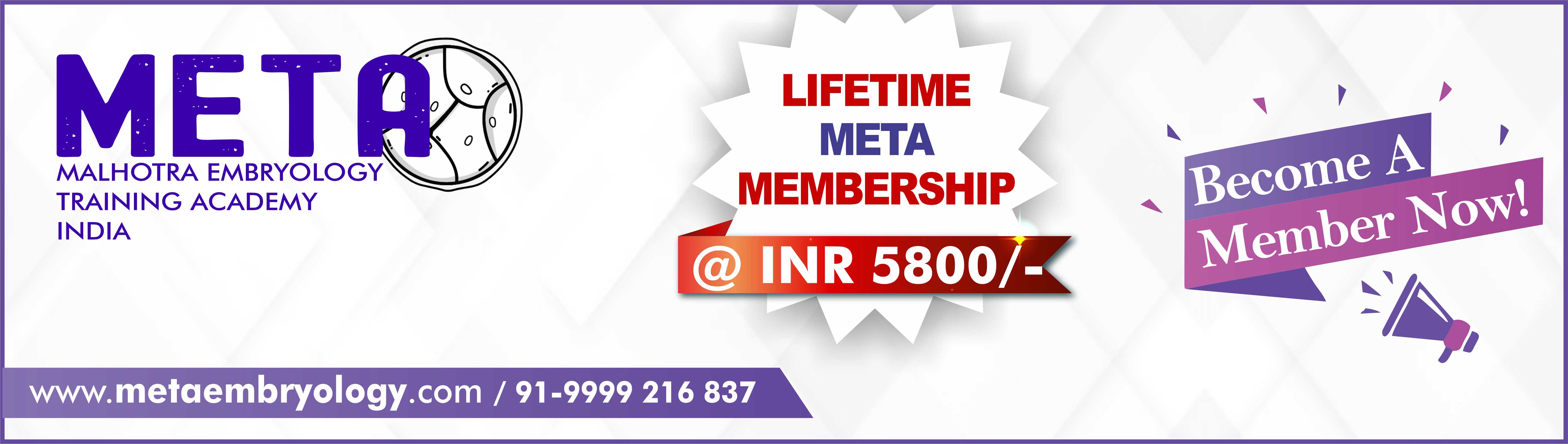 Annual META Membership