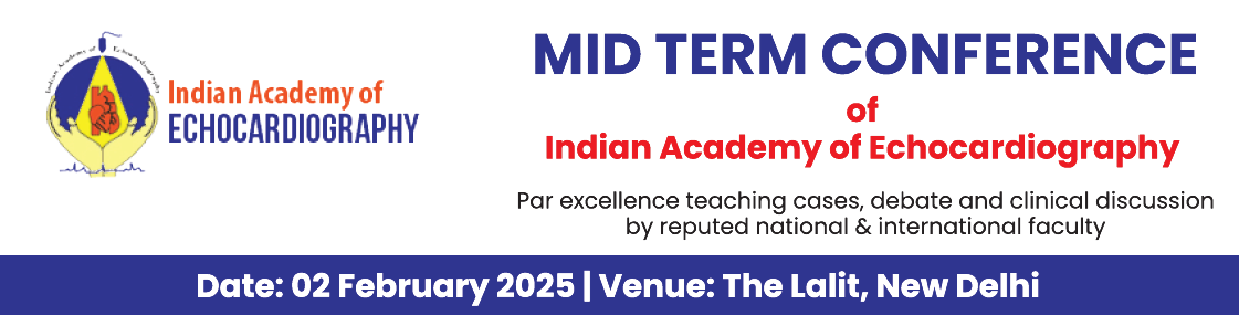 IAE Mid-term Conference
